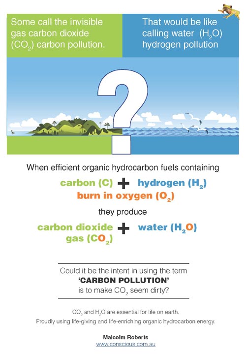 CO2 and H2O are essential for life on earth
